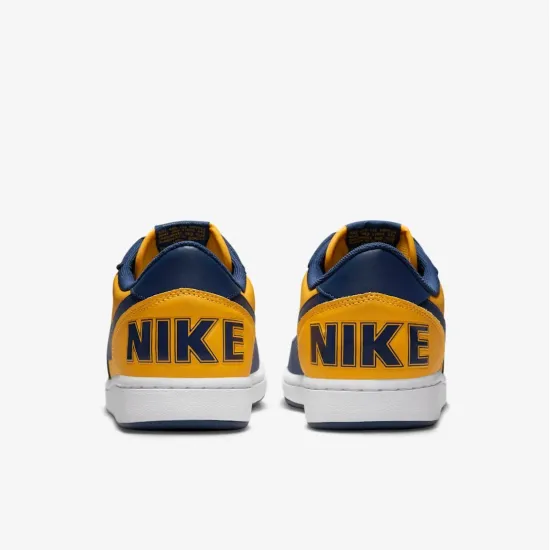 Кросівки Nike Terminator Low FJ4206-700