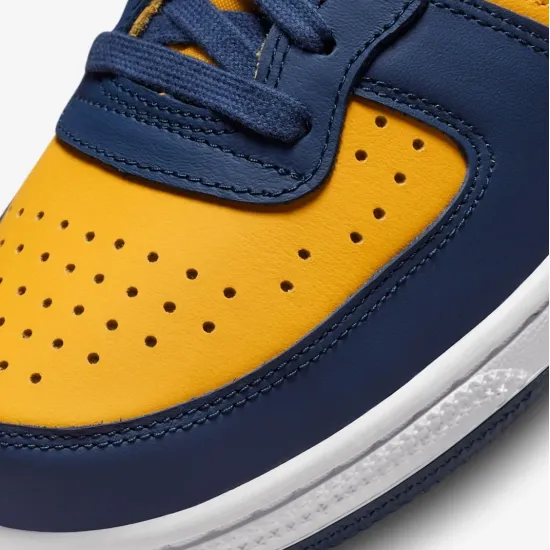Кросівки Nike Terminator Low FJ4206-700