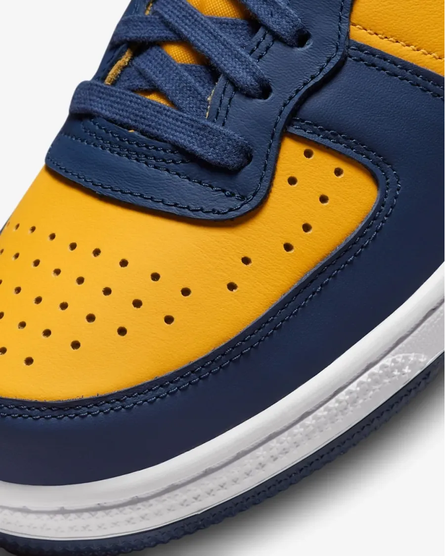Кросівки Nike Terminator Low FJ4206-700