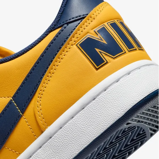 Кросівки Nike Terminator Low FJ4206-700