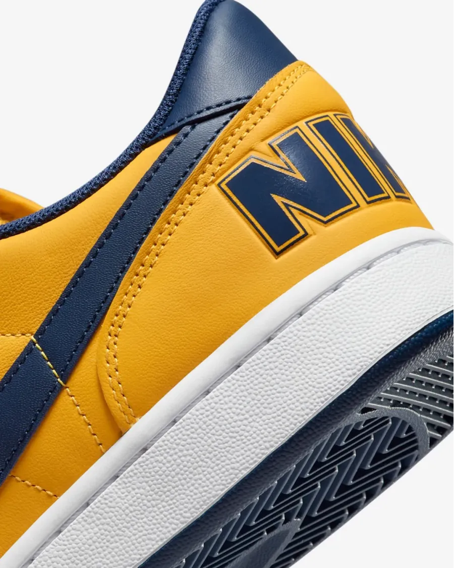 Кросівки Nike Terminator Low FJ4206-700