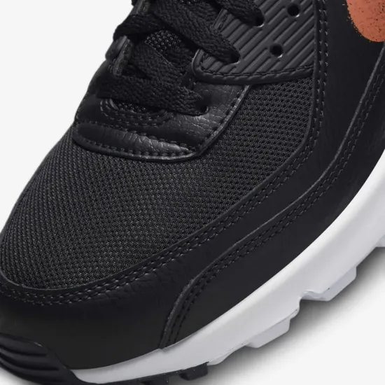 Кросівки Nike Air Max 90 FJ4229-001