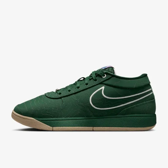 Кросівки Nike Book 1 FJ4249-300