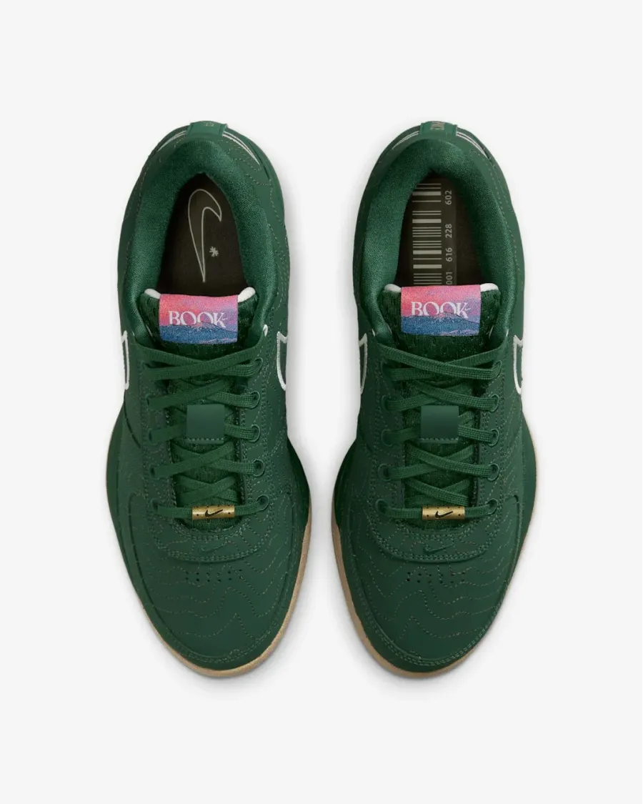 Кросівки Nike Book 1 FJ4249-300