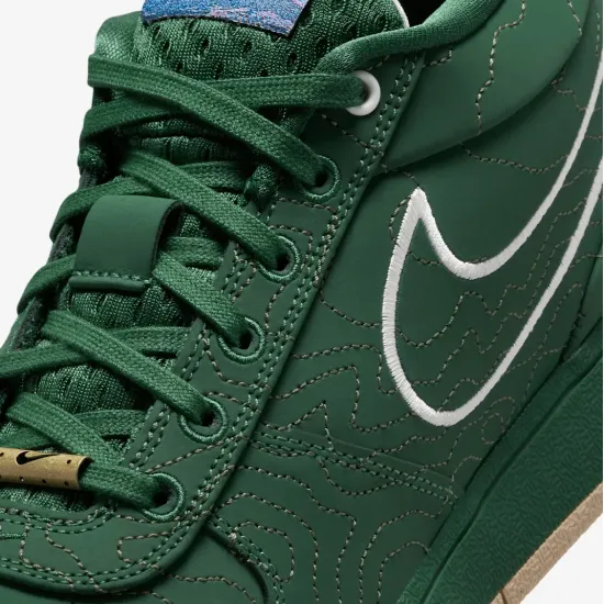 Кросівки Nike Book 1 FJ4249-300