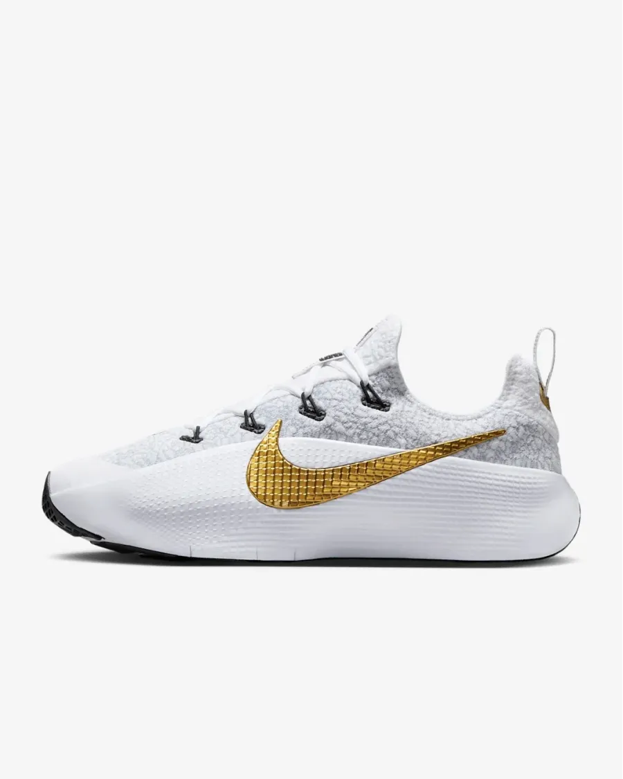 Кросівки Nike LeBron TR 1 FJ6151-006