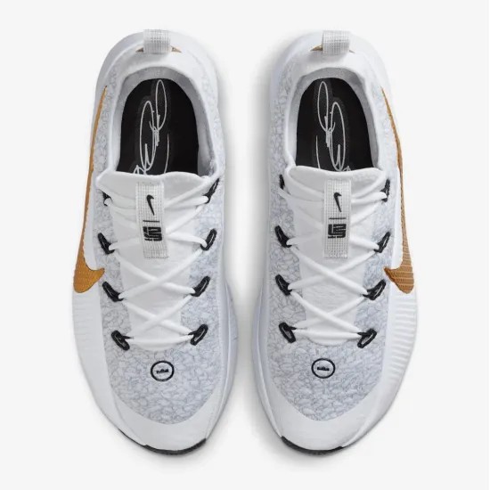Кросівки Nike LeBron TR 1 FJ6151-006