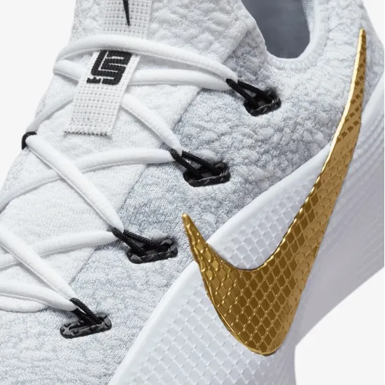 Кросівки Nike LeBron TR 1 FJ6151-006