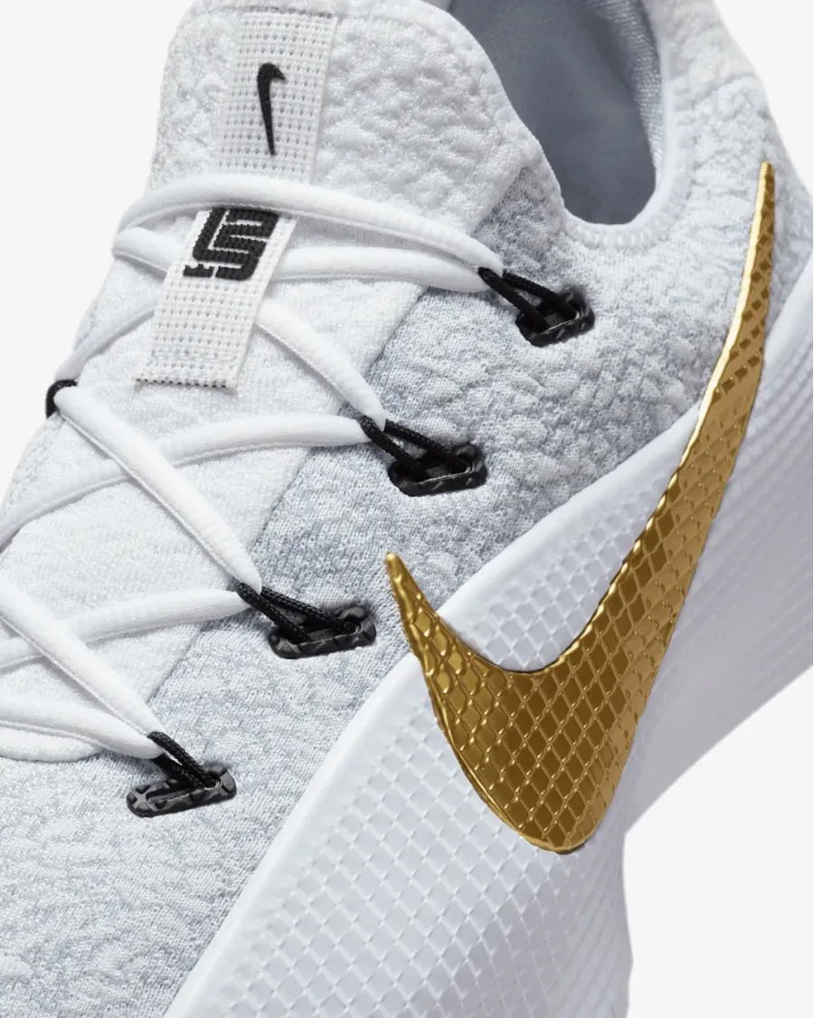 Кросівки Nike LeBron TR 1 FJ6151-006