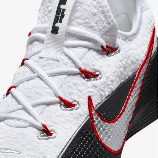 Кросівки Nike LeBron TR 1 FJ6151-101