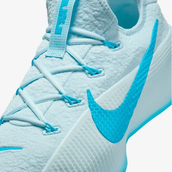 Кросівки Nike LeBron TR 1 FJ6151-400
