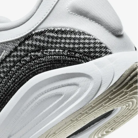 Кросівки Nike G.T. Hustle Academy Basketball FJ7791-100