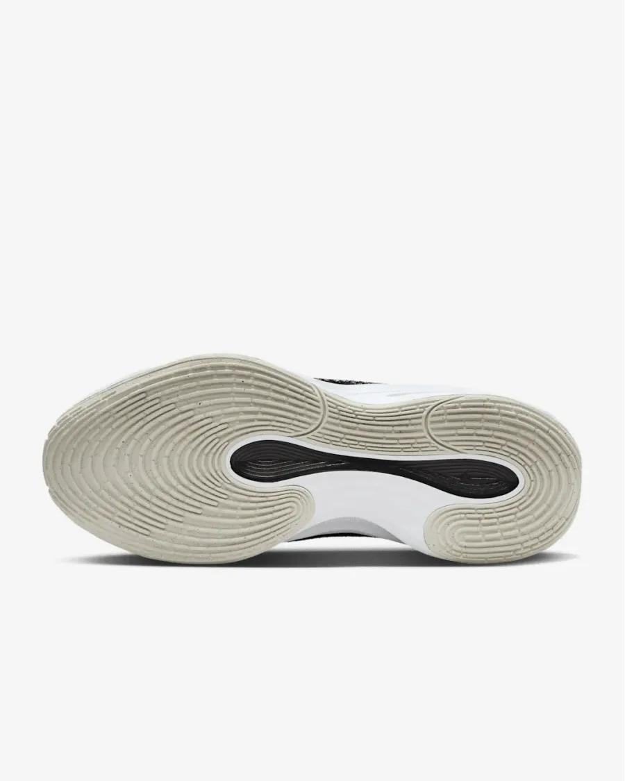 Кросівки Nike G.T. Hustle Academy Basketball FJ7791-100