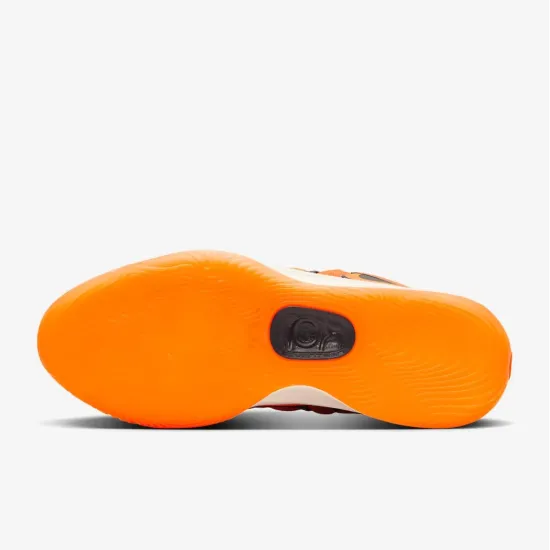 Кросівки Nike KD 17 FJ9487-800