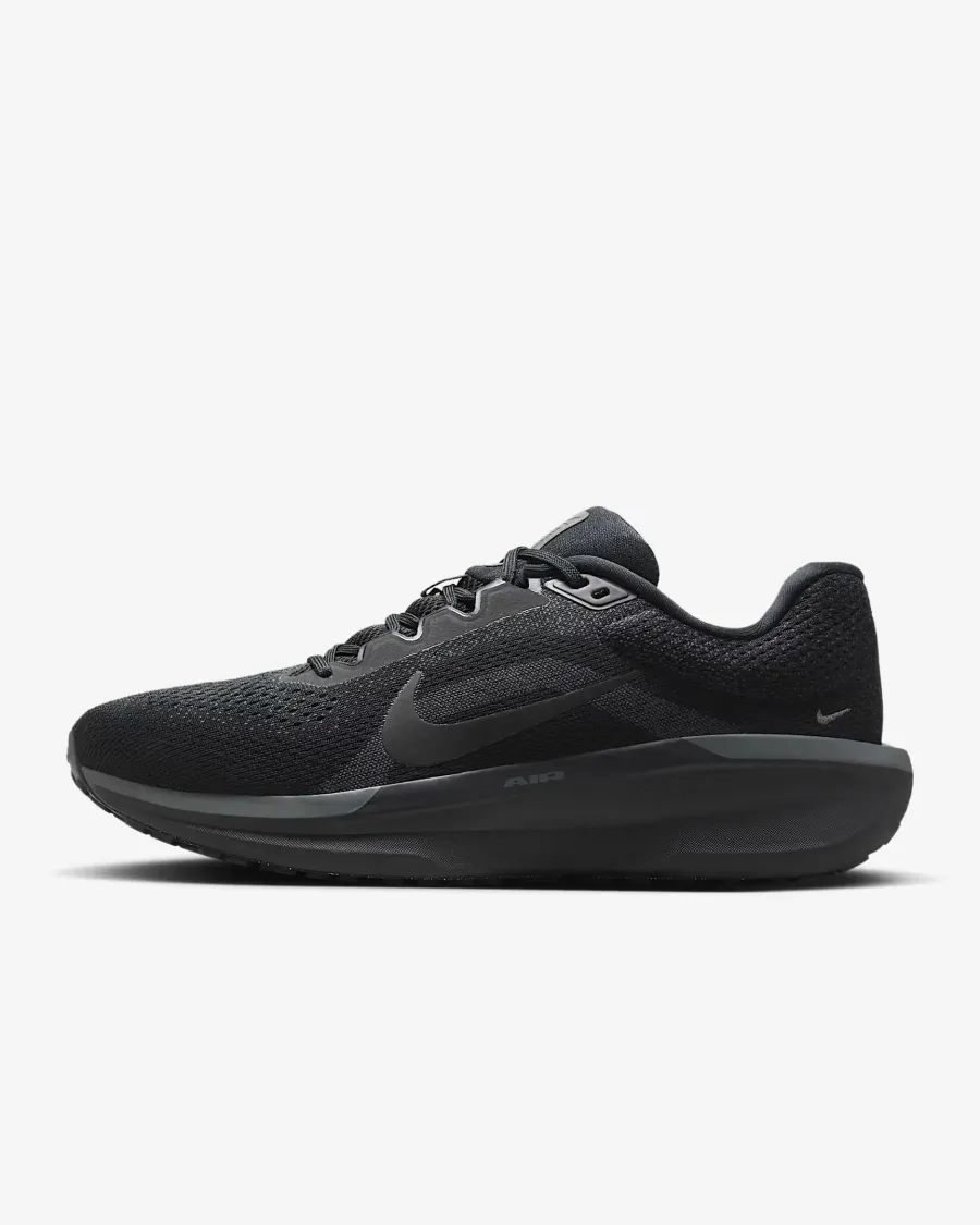 Кросівки Nike Winflo 11 FJ9509-002