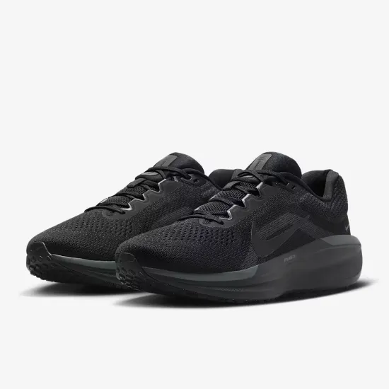 Кросівки Nike Winflo 11 FJ9509-002