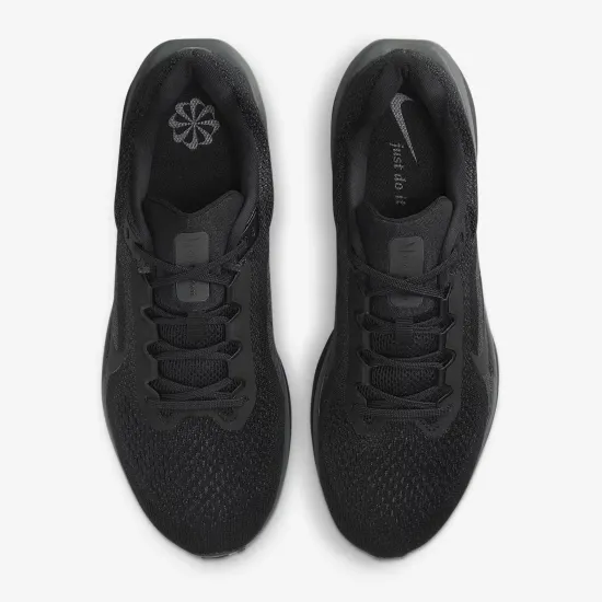 Кросівки Nike Winflo 11 FJ9509-002