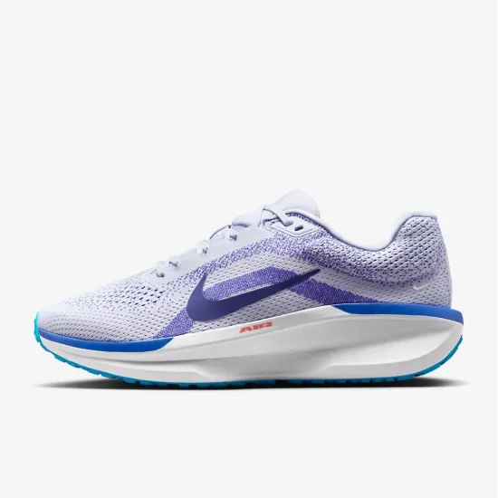 Кросівки Nike Winflo 11 FJ9509-006
