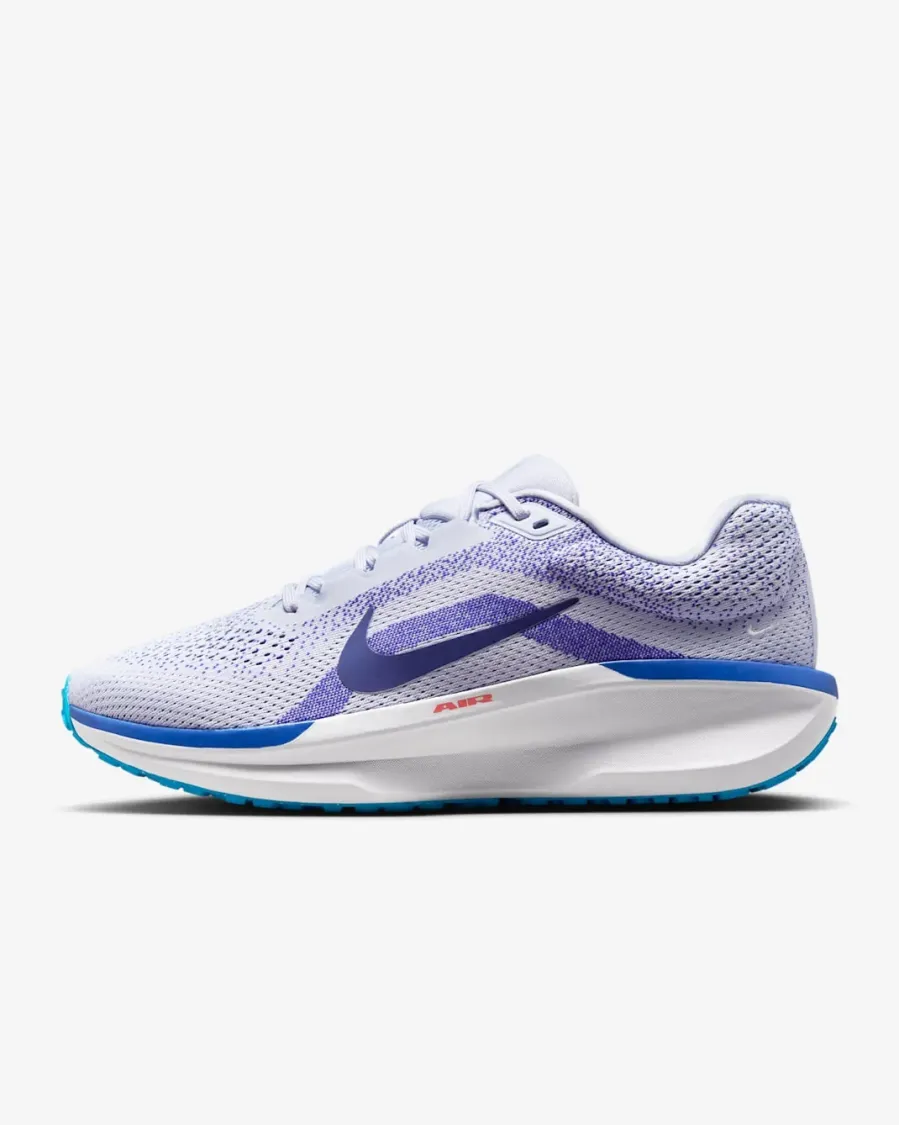 Кросівки Nike Winflo 11 FJ9509-006