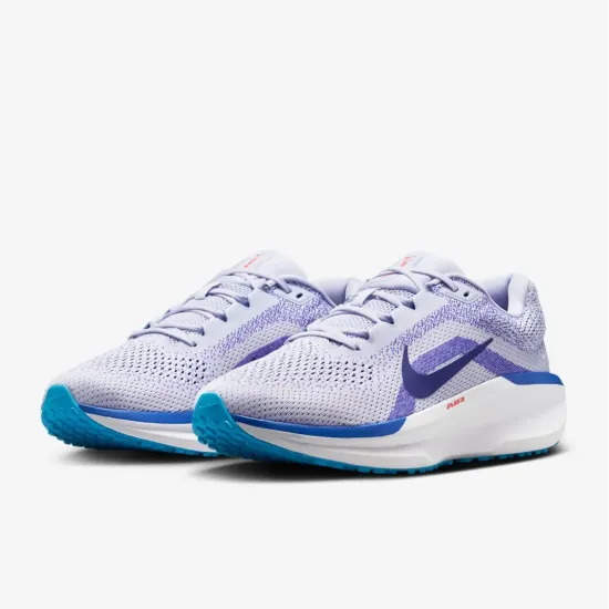 Кросівки Nike Winflo 11 FJ9509-006