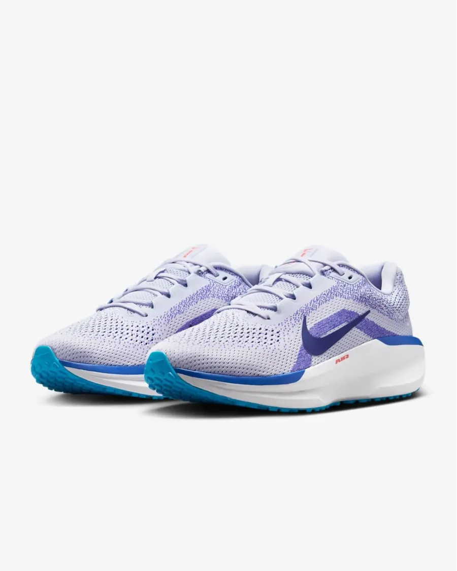 Кросівки Nike Winflo 11 FJ9509-006