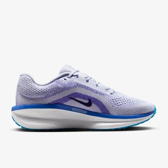 Кросівки Nike Winflo 11 FJ9509-006
