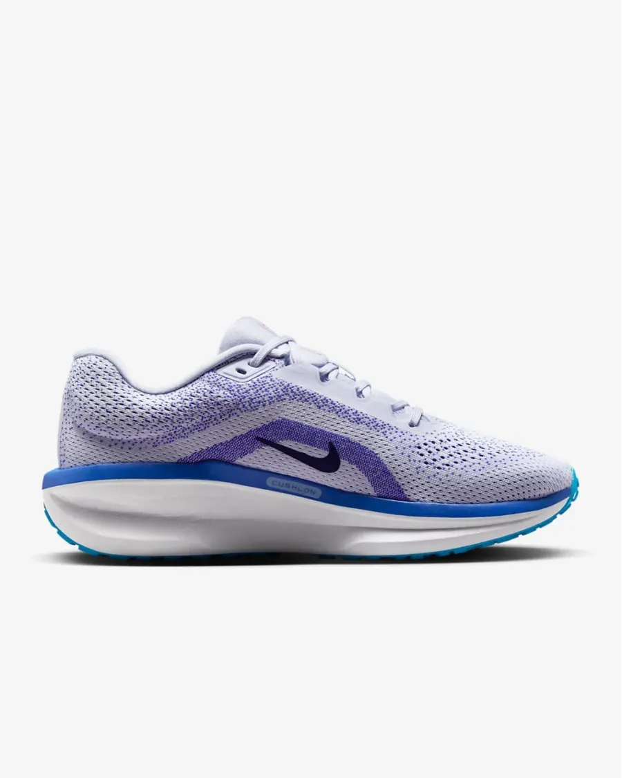 Кросівки Nike Winflo 11 FJ9509-006