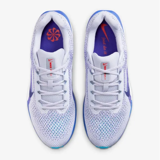 Кросівки Nike Winflo 11 FJ9509-006