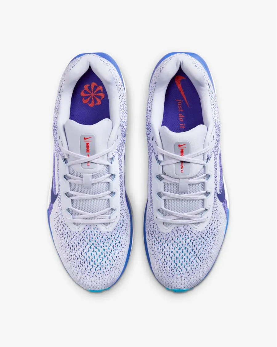 Кросівки Nike Winflo 11 FJ9509-006