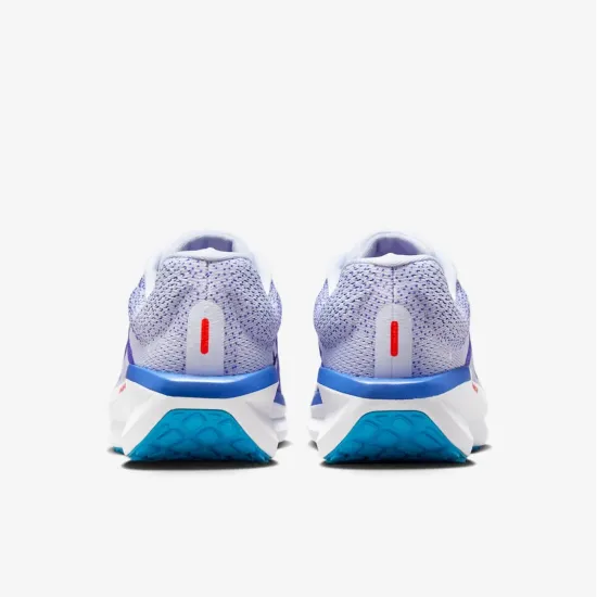 Кросівки Nike Winflo 11 FJ9509-006