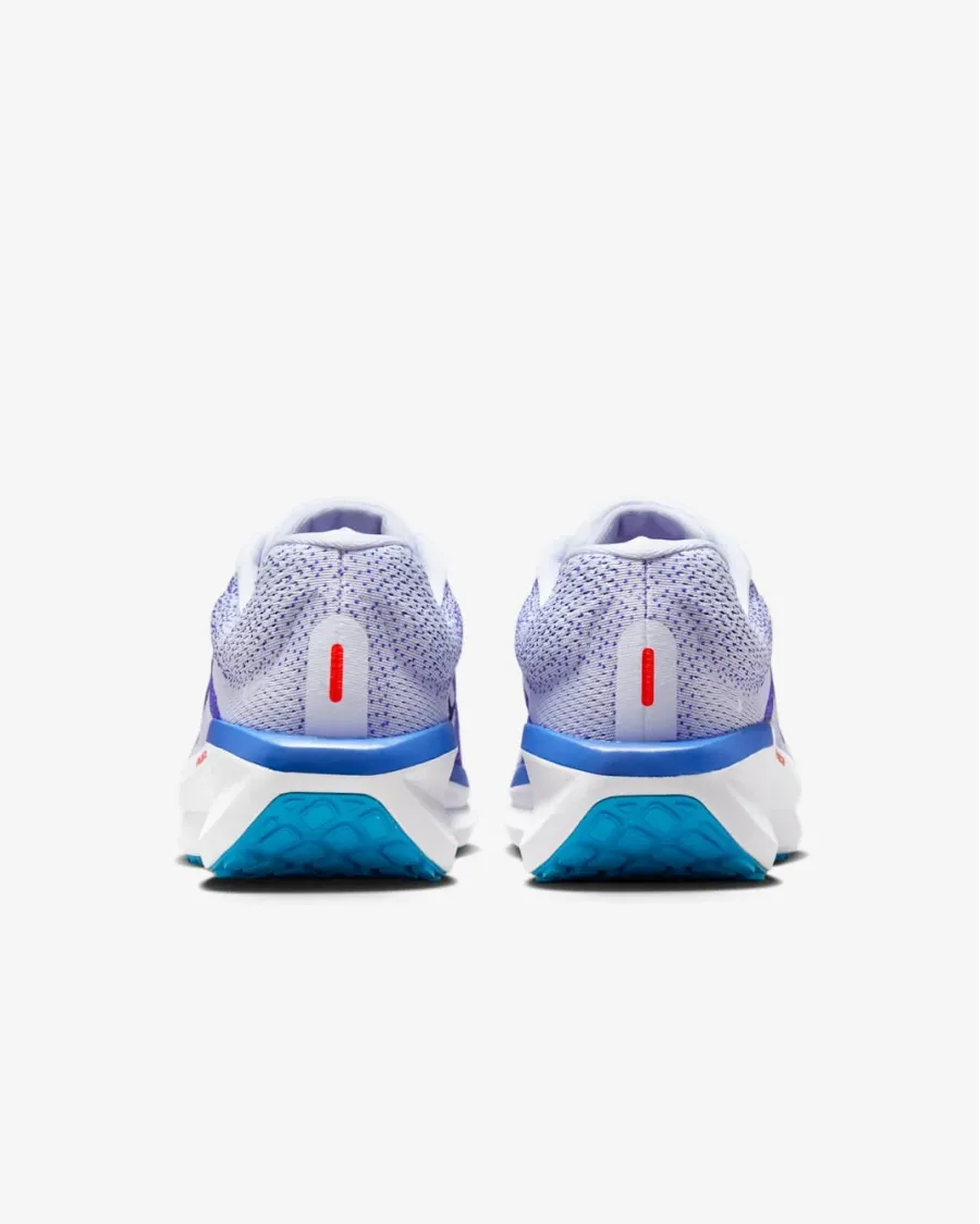 Кросівки Nike Winflo 11 FJ9509-006
