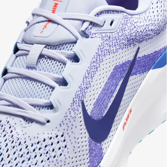 Кросівки Nike Winflo 11 FJ9509-006