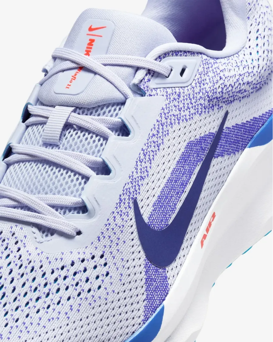 Кросівки Nike Winflo 11 FJ9509-006