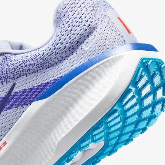 Кросівки Nike Winflo 11 FJ9509-006
