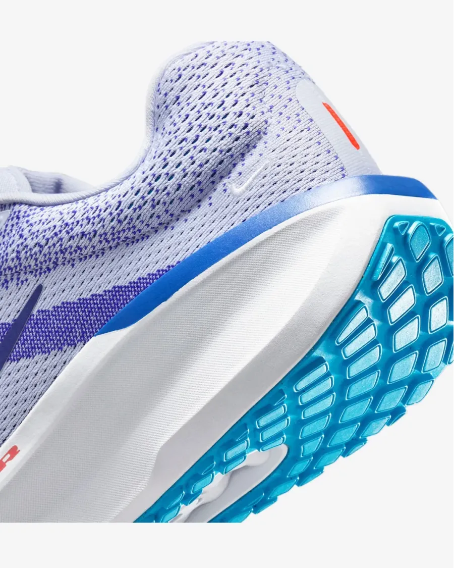 Кросівки Nike Winflo 11 FJ9509-006