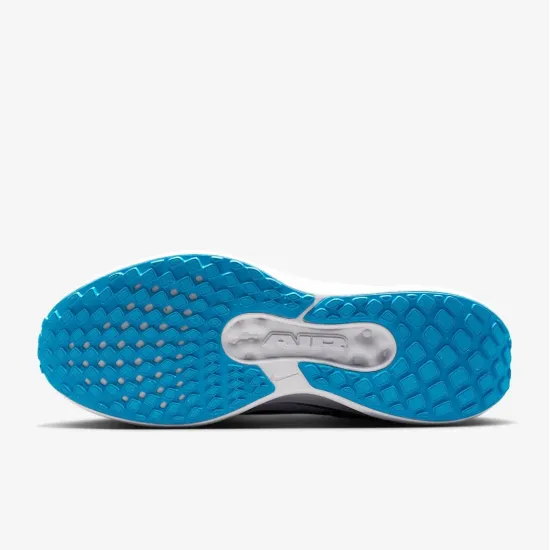 Кросівки Nike Winflo 11 FJ9509-006