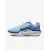 Кросівки Nike Winflo 11 FJ9509-404