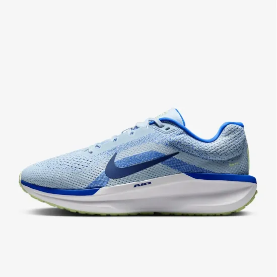 Кросівки Nike Winflo 11 FJ9509-404