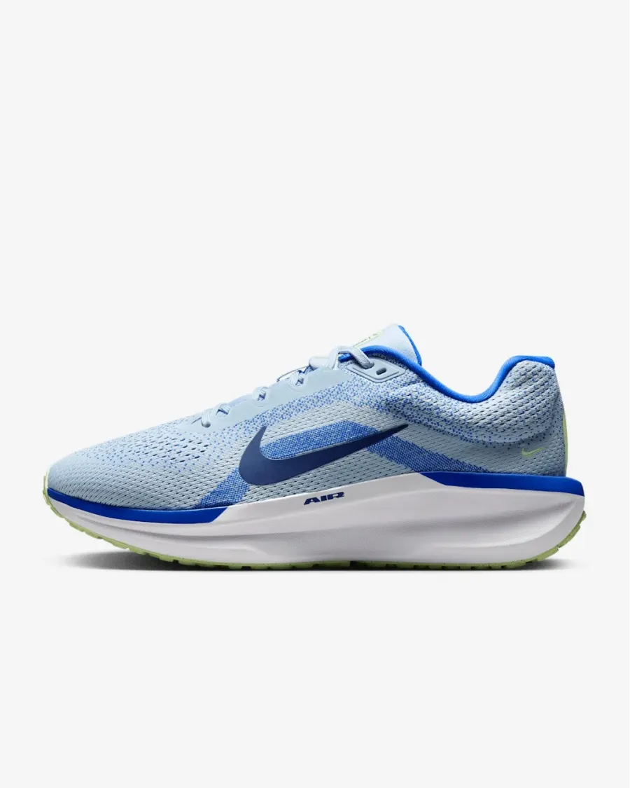 Кросівки Nike Winflo 11 FJ9509-404