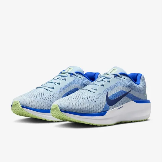 Кросівки Nike Winflo 11 FJ9509-404