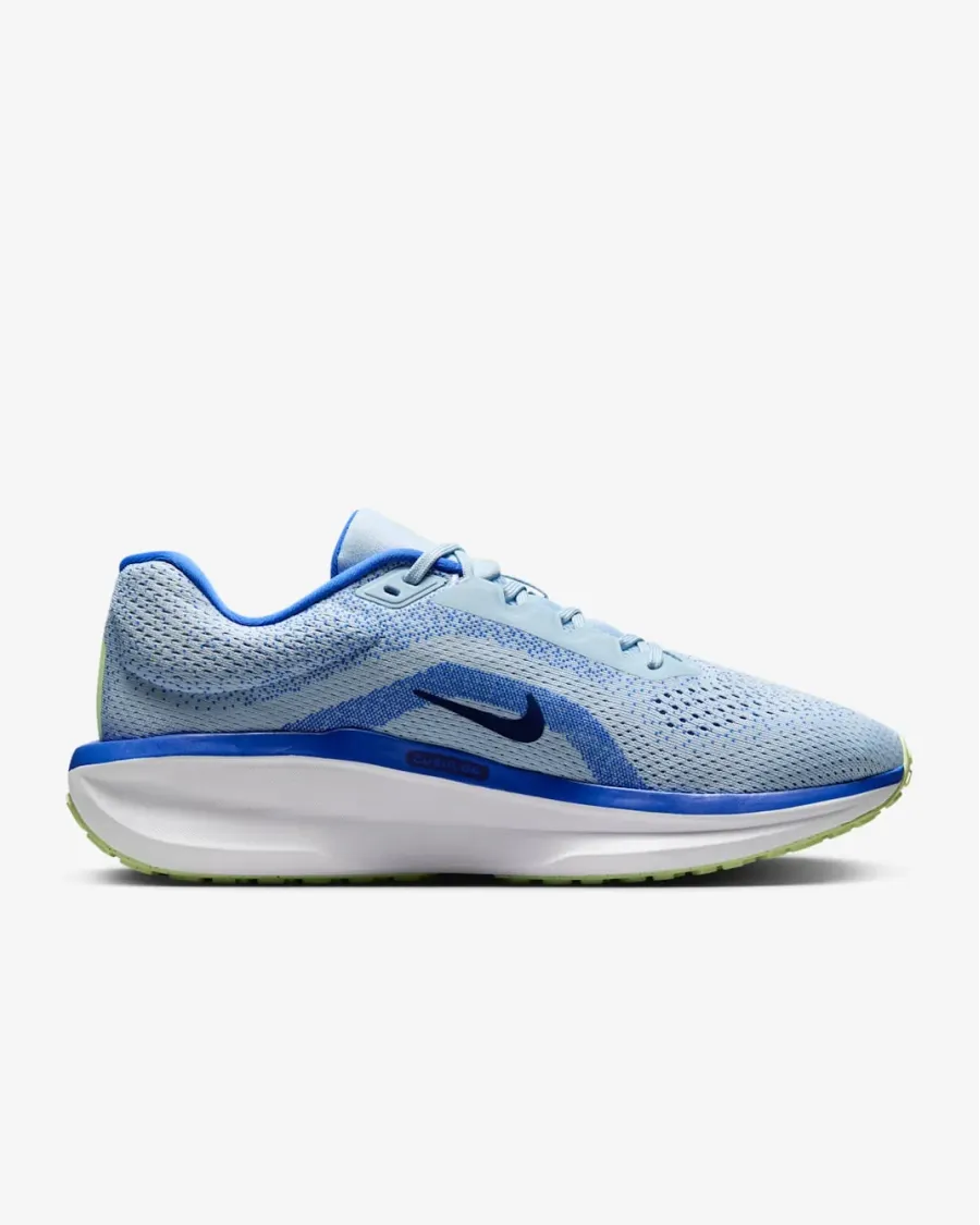 Кросівки Nike Winflo 11 FJ9509-404