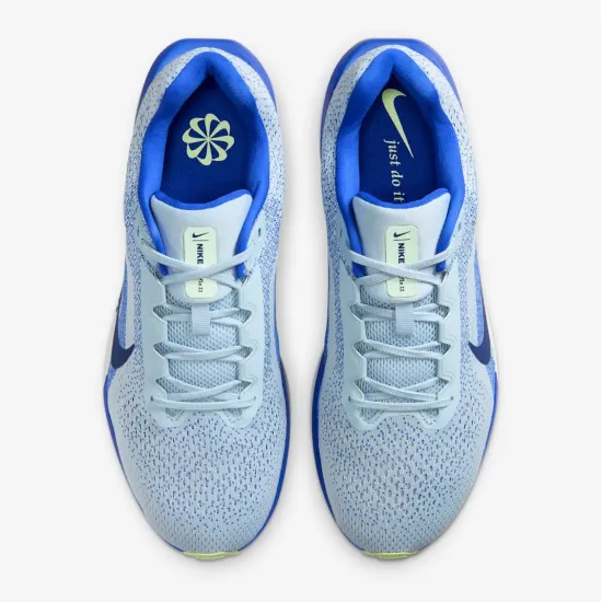 Кросівки Nike Winflo 11 FJ9509-404