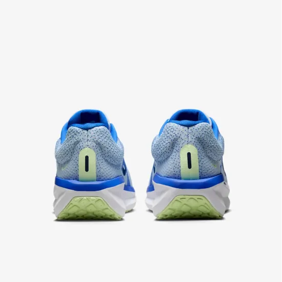 Кросівки Nike Winflo 11 FJ9509-404