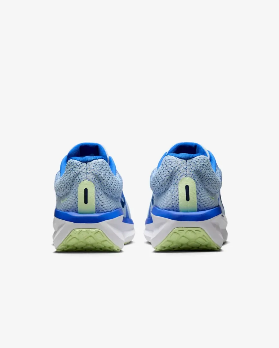 Кросівки Nike Winflo 11 FJ9509-404