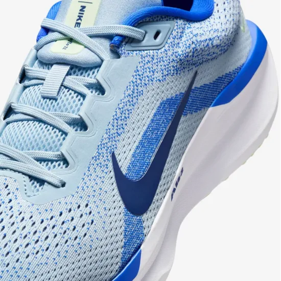 Кросівки Nike Winflo 11 FJ9509-404