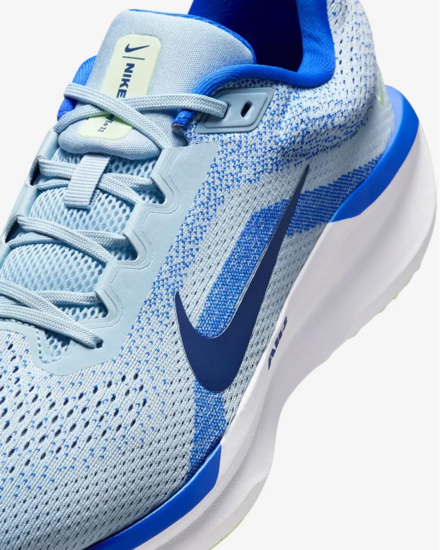 Кросівки Nike Winflo 11 FJ9509-404