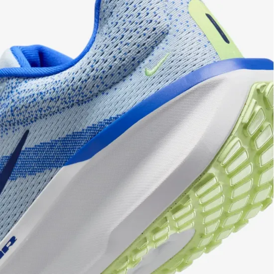 Кросівки Nike Winflo 11 FJ9509-404