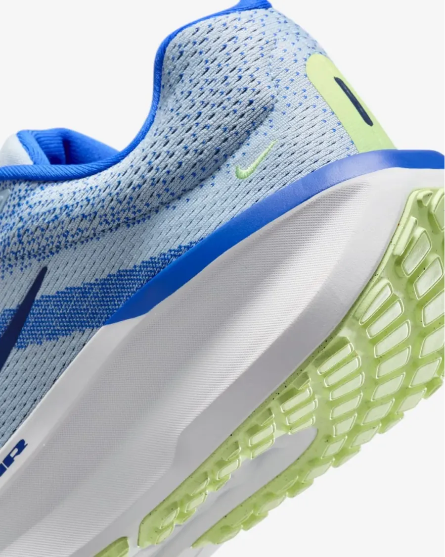Кросівки Nike Winflo 11 FJ9509-404