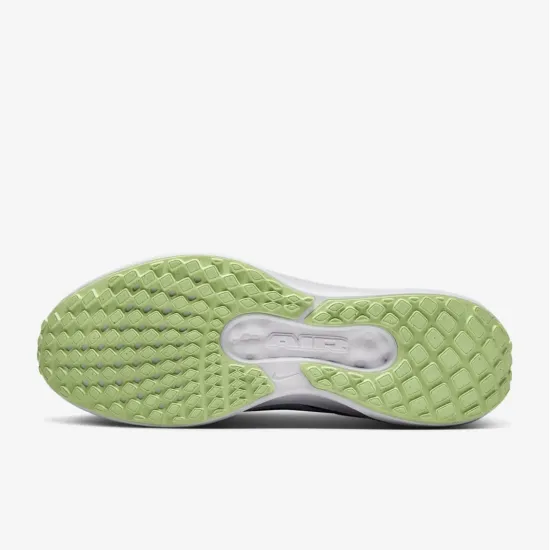 Кросівки Nike Winflo 11 FJ9509-404
