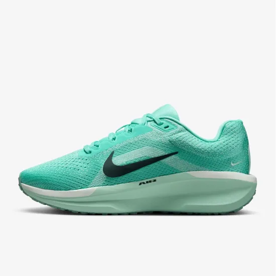 Кросівки Nike Winflo 11 FJ9510-305